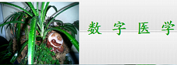 数字疗法