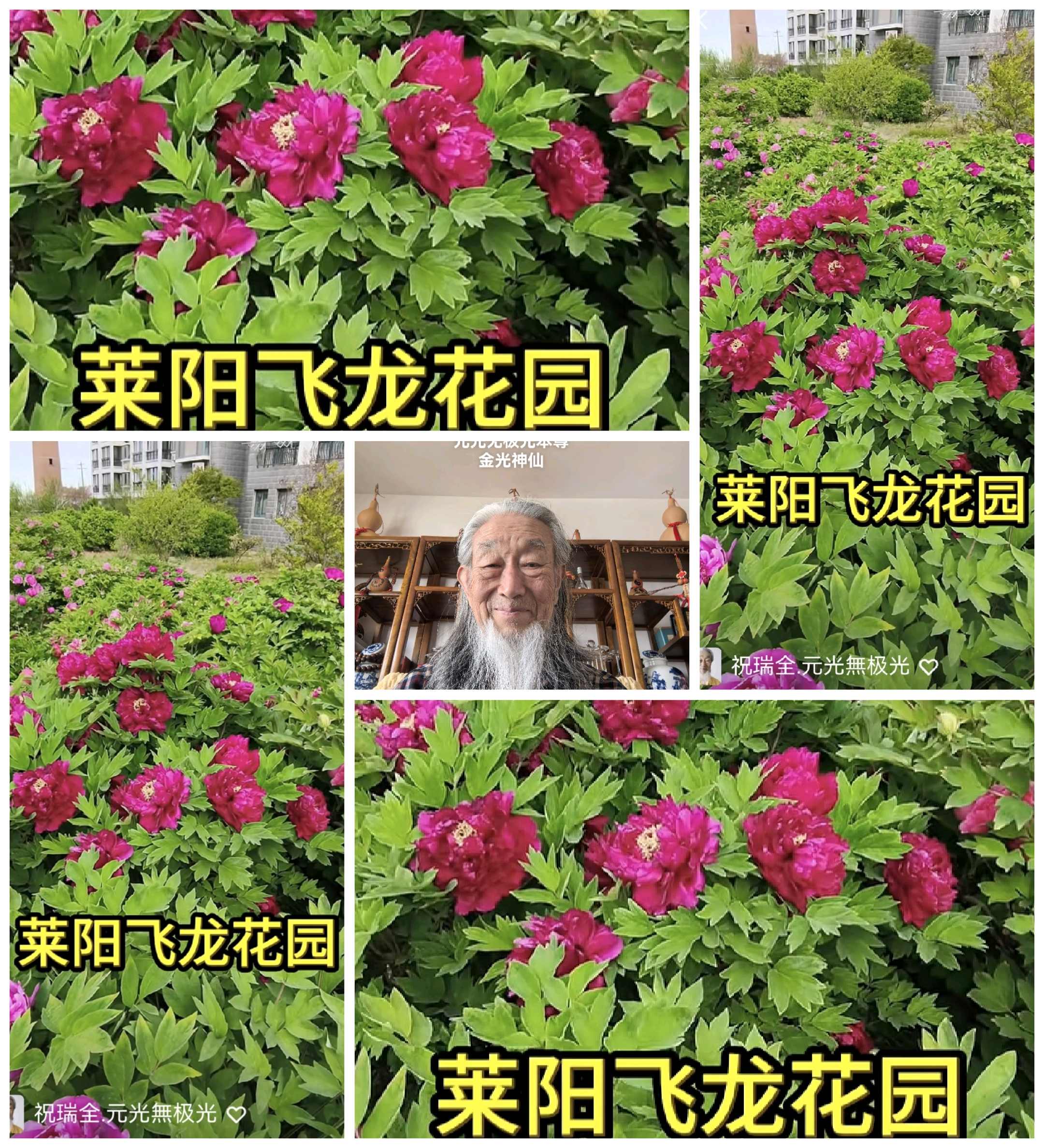 c0b68a9f-750d-460d-822c-e06ab8b60ef4.jpg